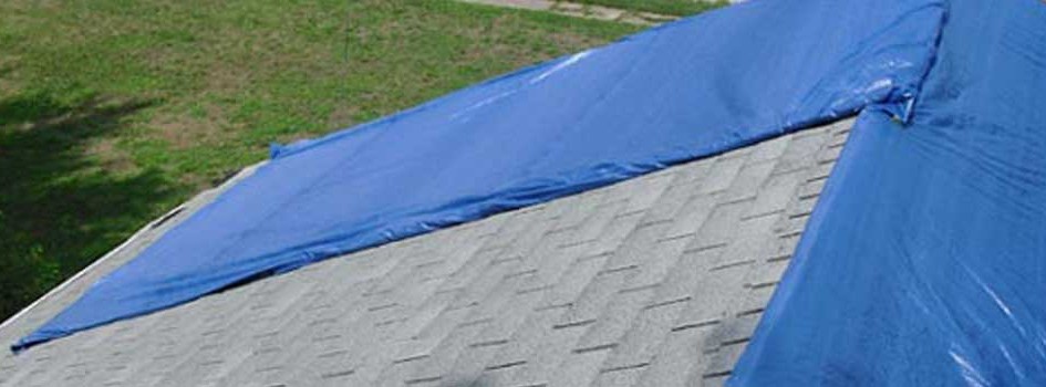 Get your roof covered quickly