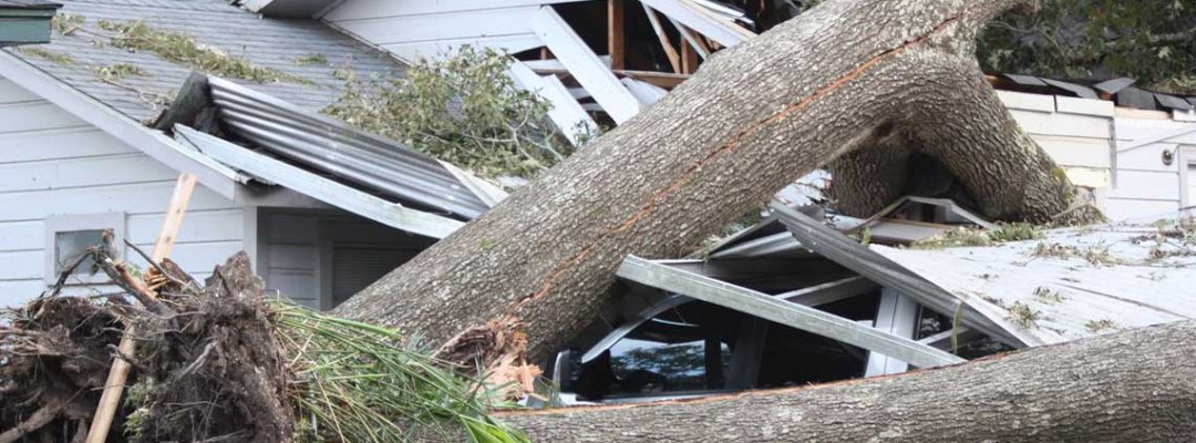 Tree on your roof? Storm Damage - we can help!